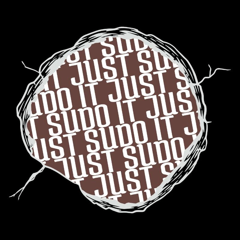 bonne profession de programmeur informatique présenter l’idée