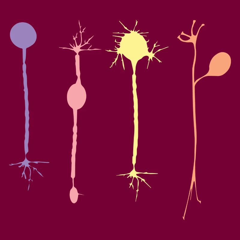 Neurone en harmonie