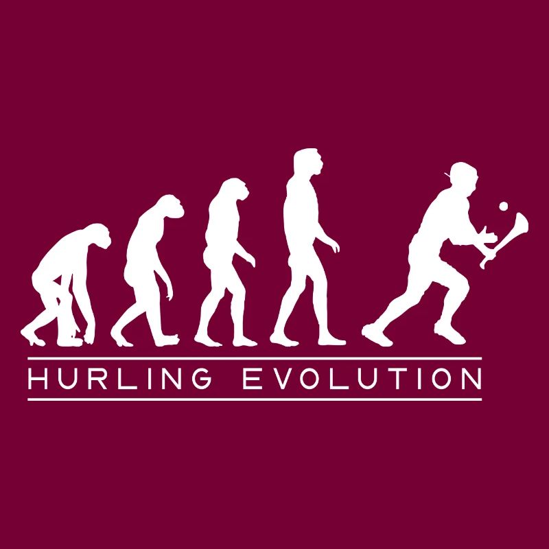 L’évolution du hurling