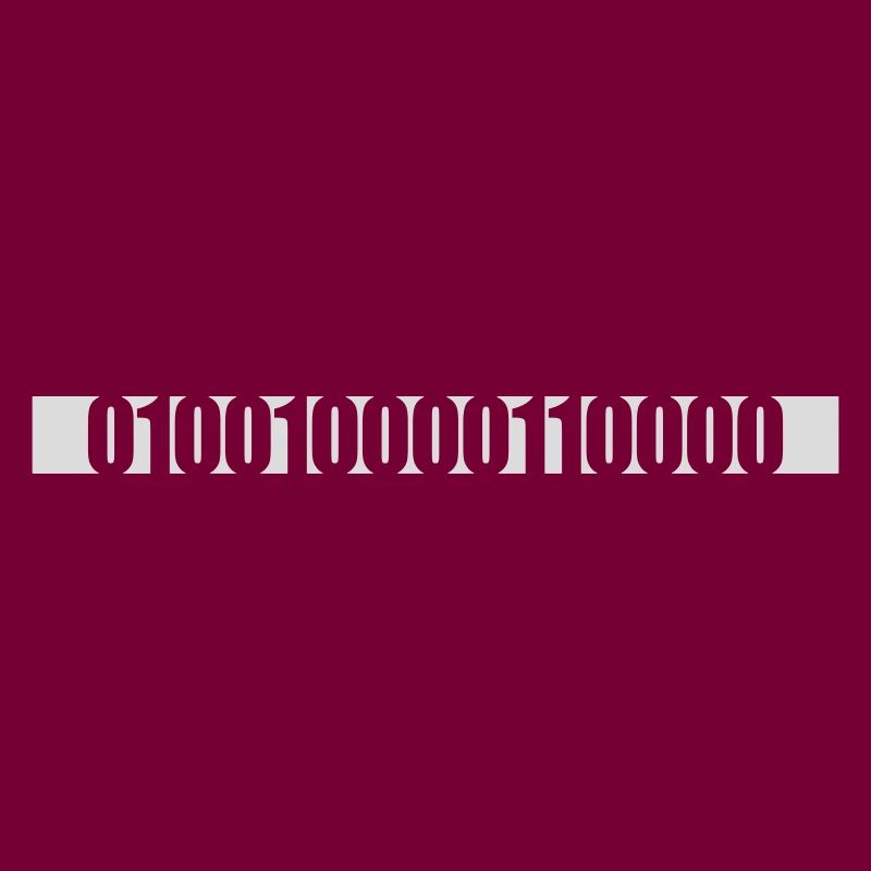 Binär Code Programm Sprache