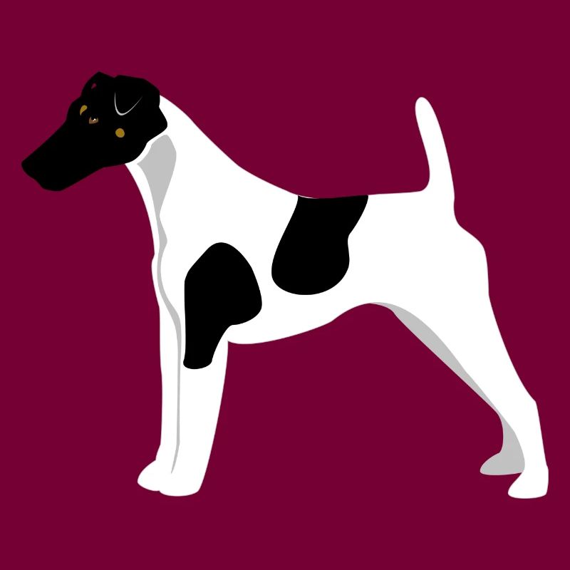 Fox Terrier Glattes Haar