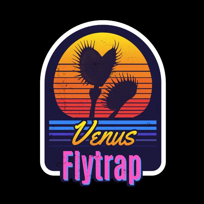 Venus flytrap carnivore plant drawing