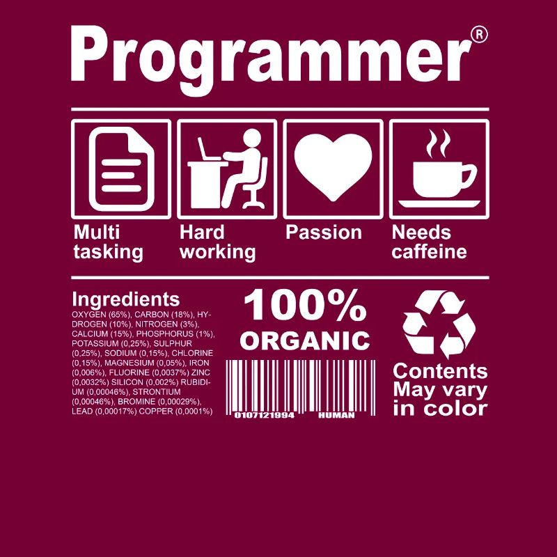 Programmeur