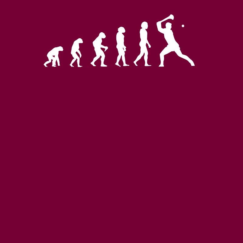 évolution du hurling
