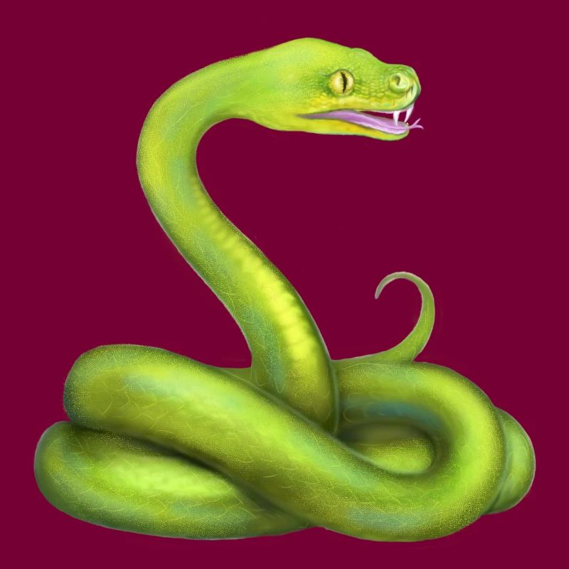 L’animal de la jungle du serpent python vert