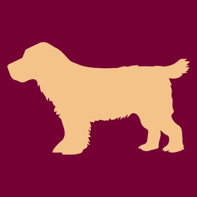 Cocker Spaniel sable orange – SUA