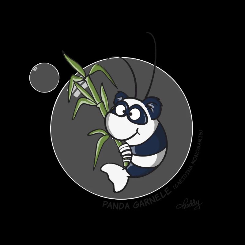 Panda Garnele