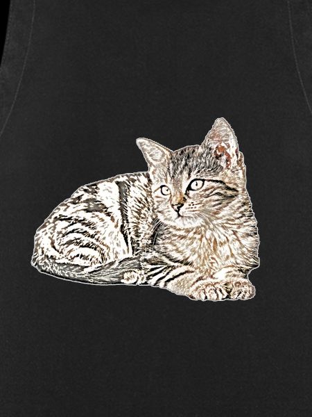 Süsse katze