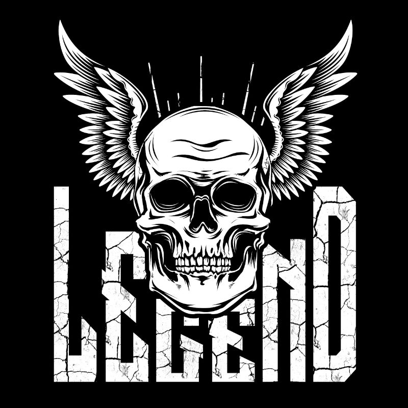 Rock Biker Skull Wing Skull Skull
