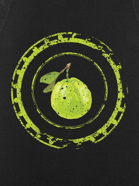 Guava fruit art gift