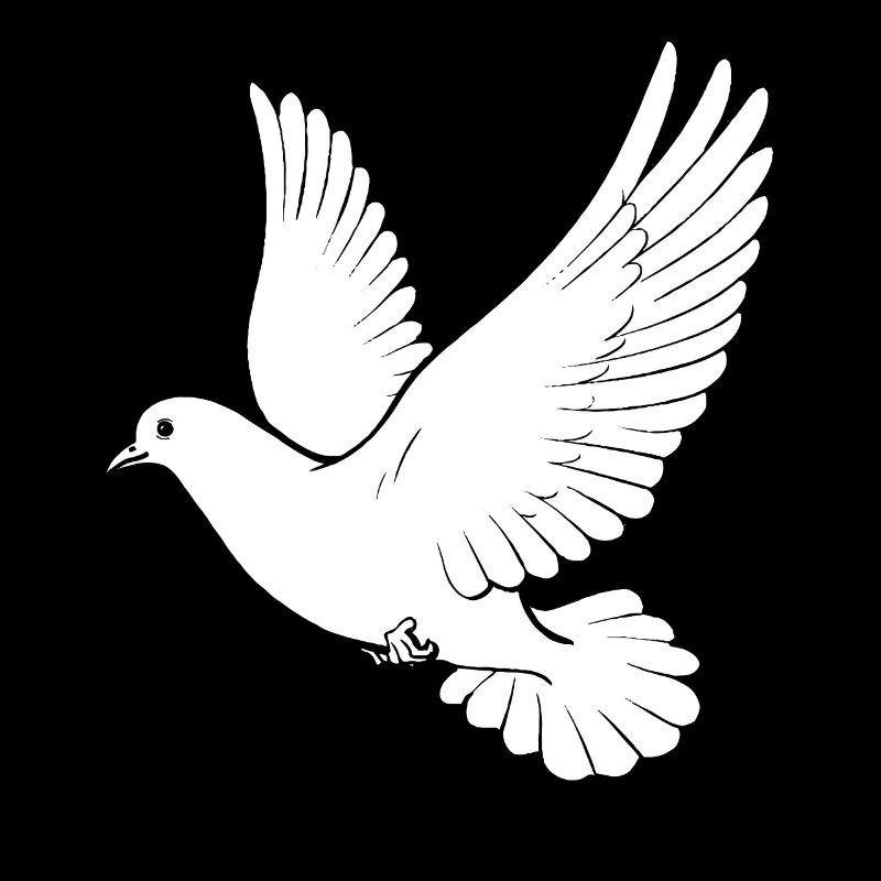 Weiße Taube Liebe Geschenk Fliege