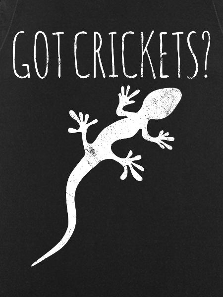 Lizard Gecko Owner
