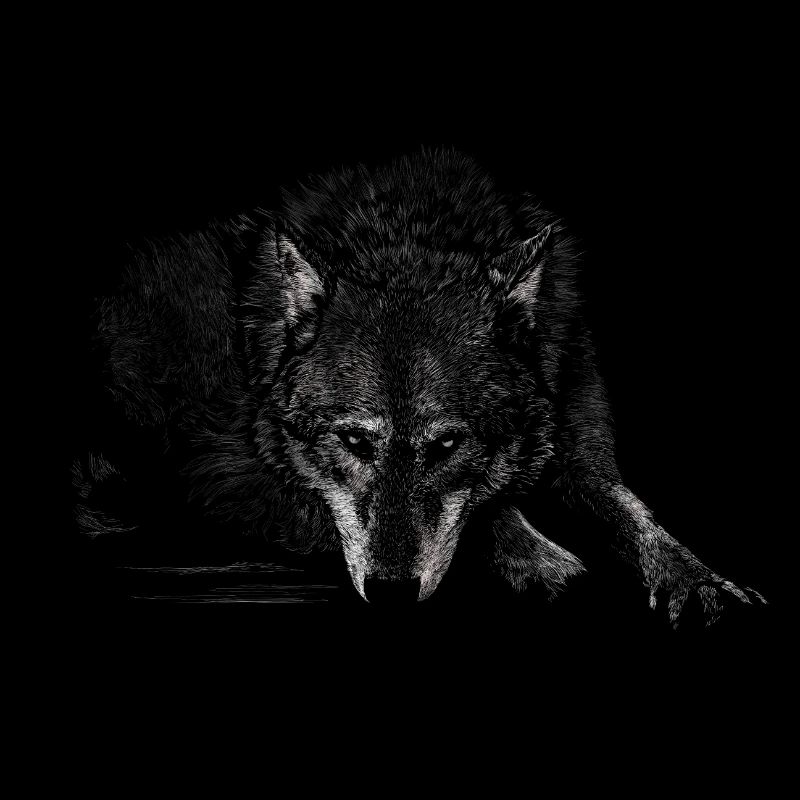 Wolf