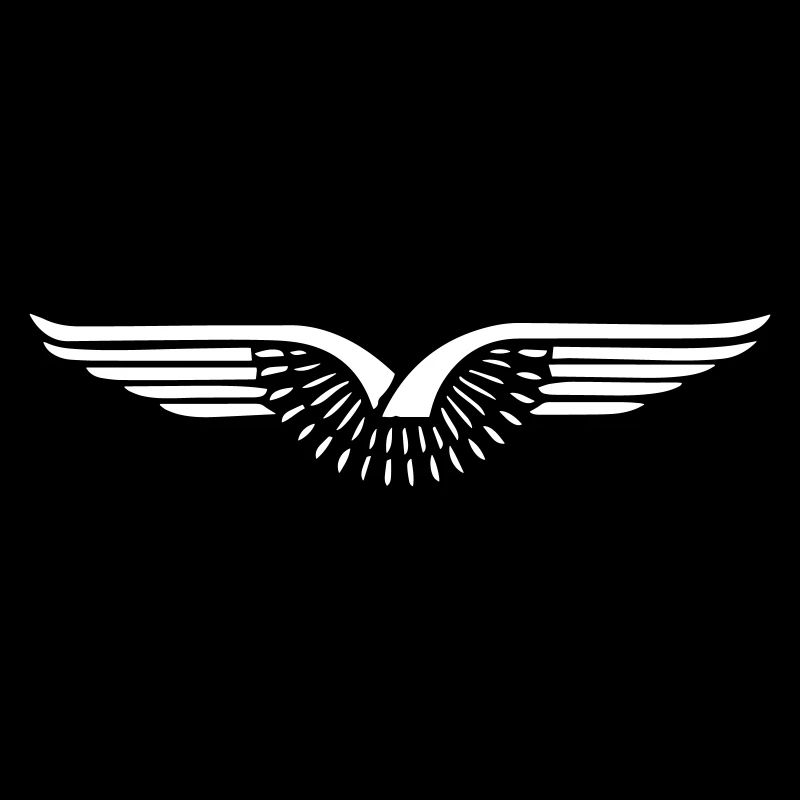 Eagle, wings - design