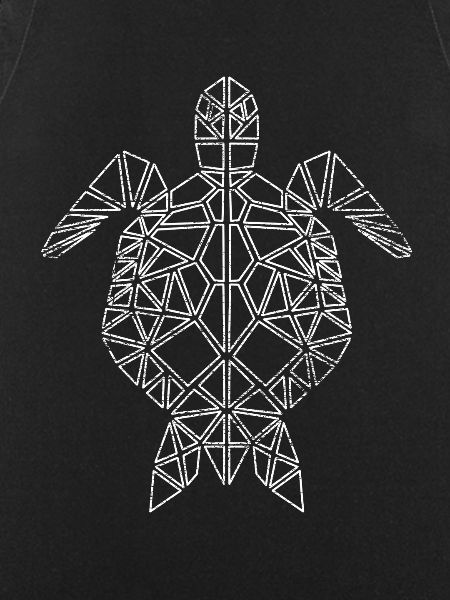 Turtle polygon geometric