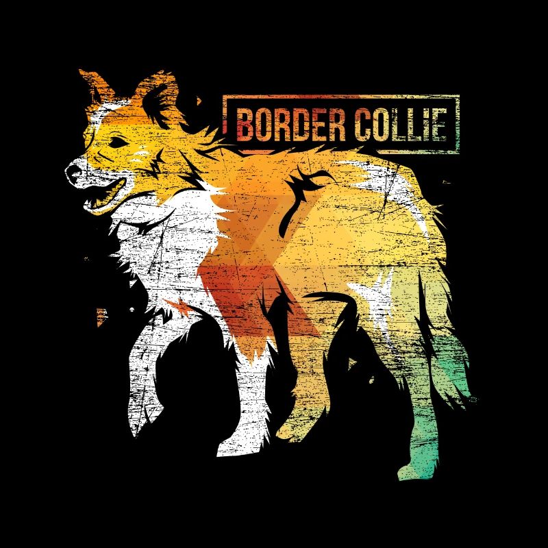 Border Collie polygon