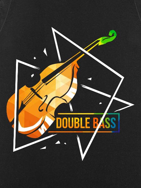 Double bass violin