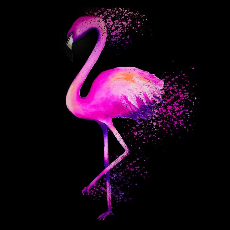 Flamingo Vogel rosa colorful bird bunt Geschenk