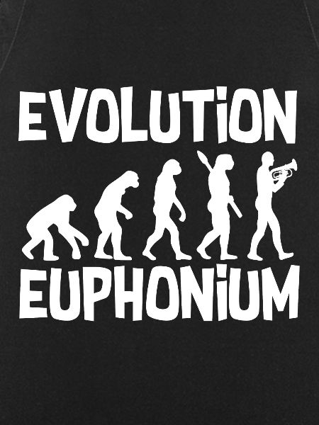 Euphonium development
