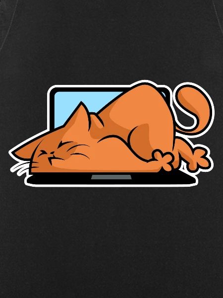 Cats and computers