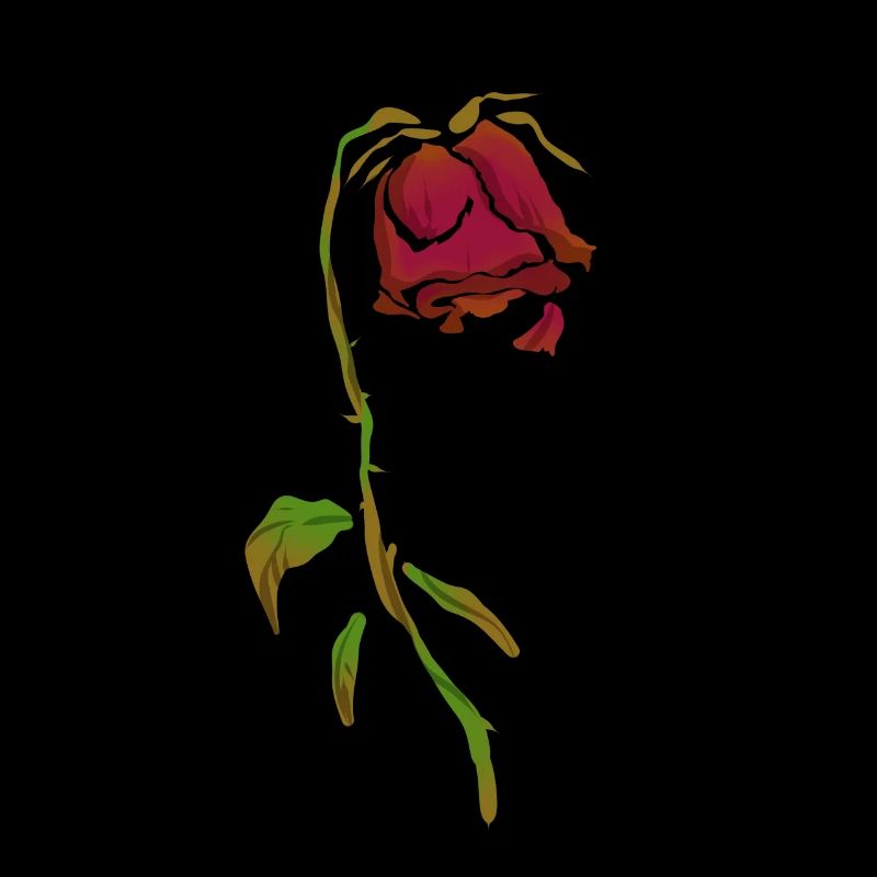 Rose fanée