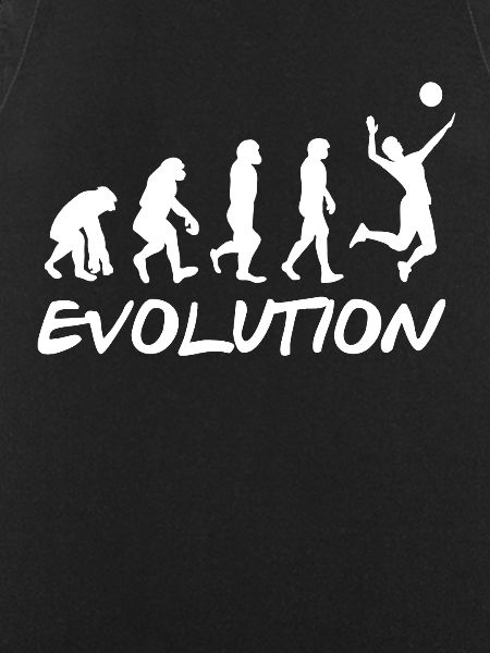 Évolution du volleyball