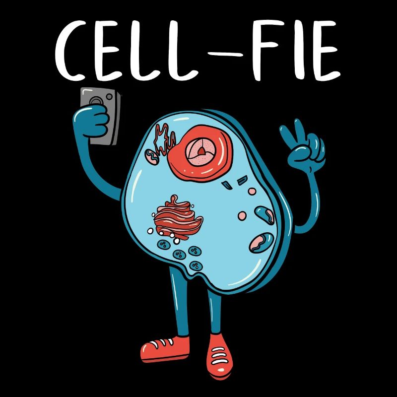 Cell-fiée