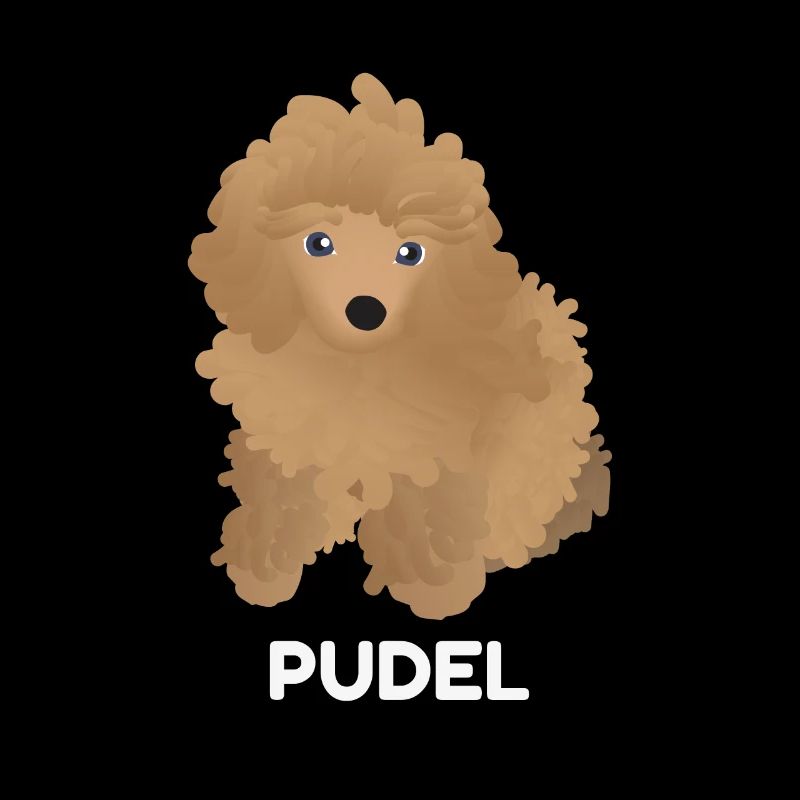 Pudel Welpe
