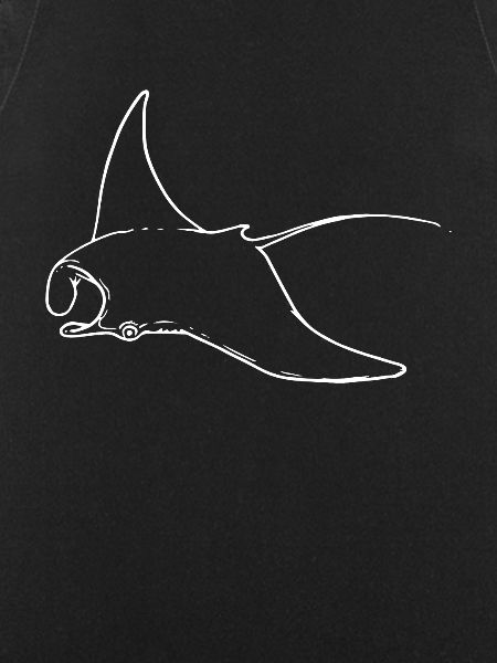 Ray Manta