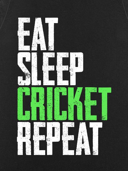Cricket cricketer