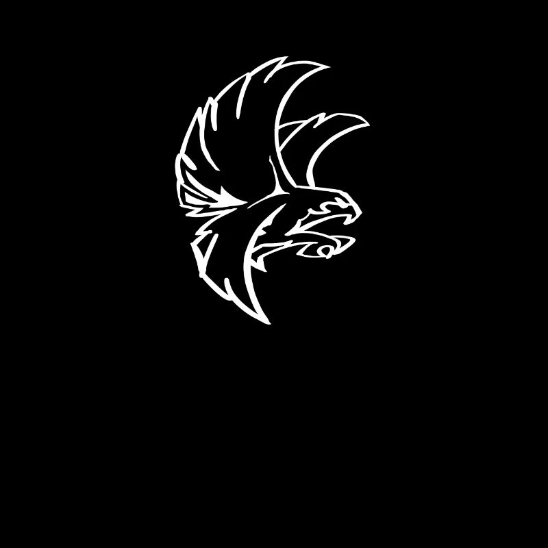 Very cool eagle or hawk motif as a gift