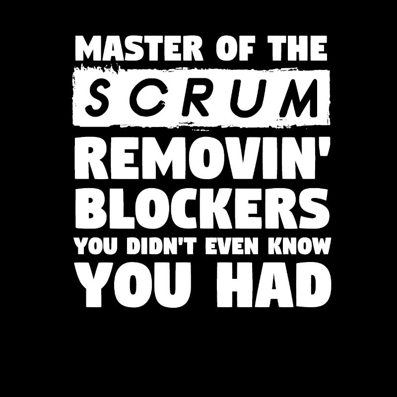 Scrum Master Agile Software Entwicklung