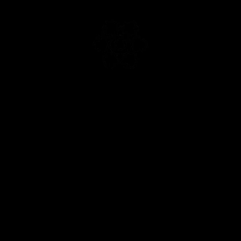 Never Trust An Atom They Make Everything Up