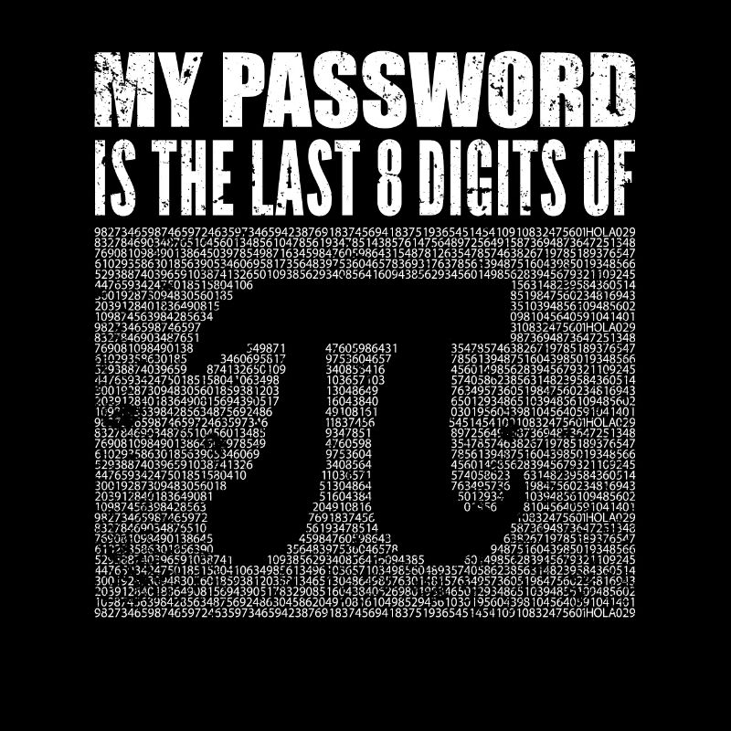 Programmierer Hacker