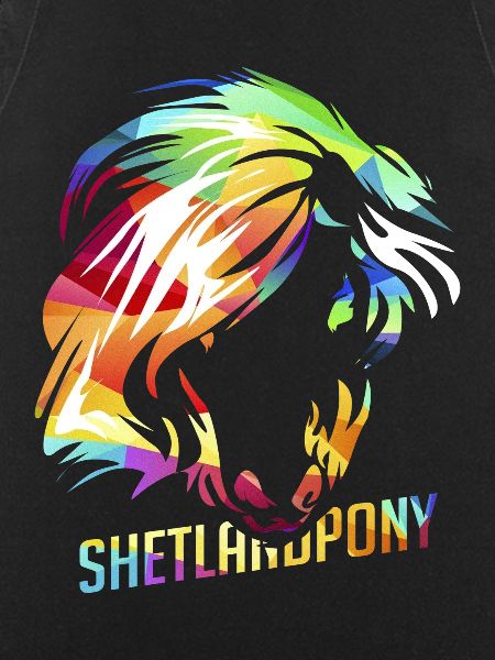 Shetland pony