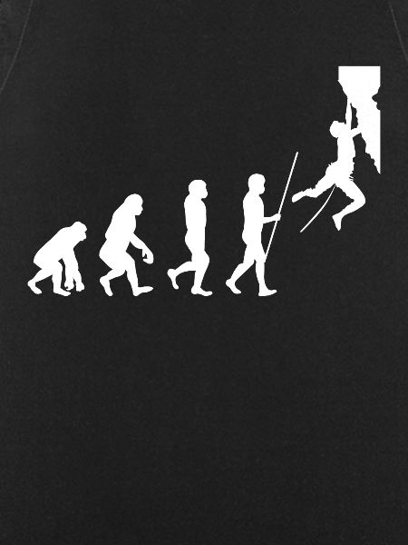 Climbing evolution