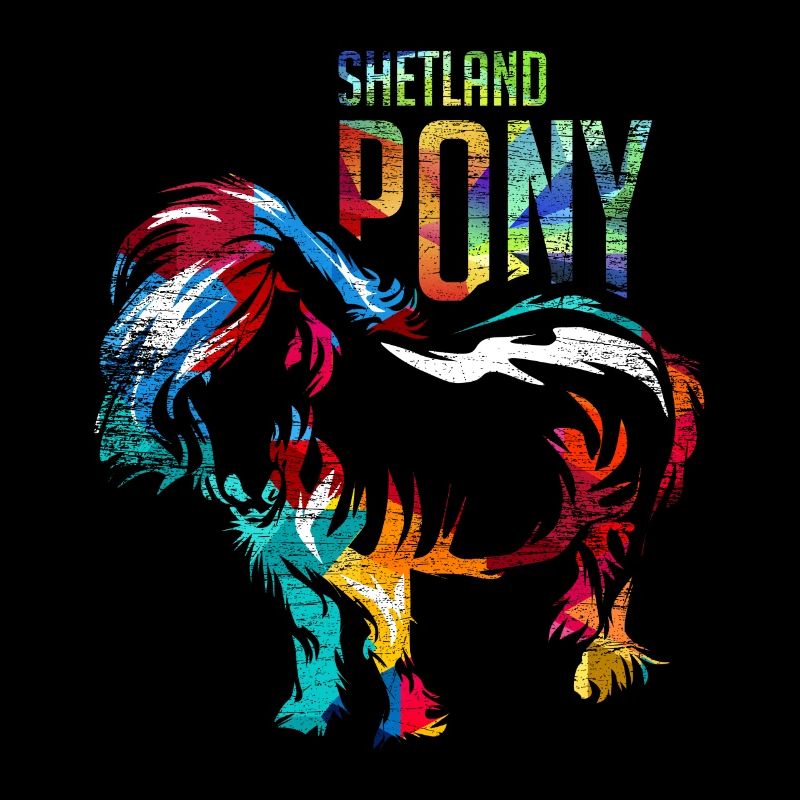 Shetlandpony Pferd