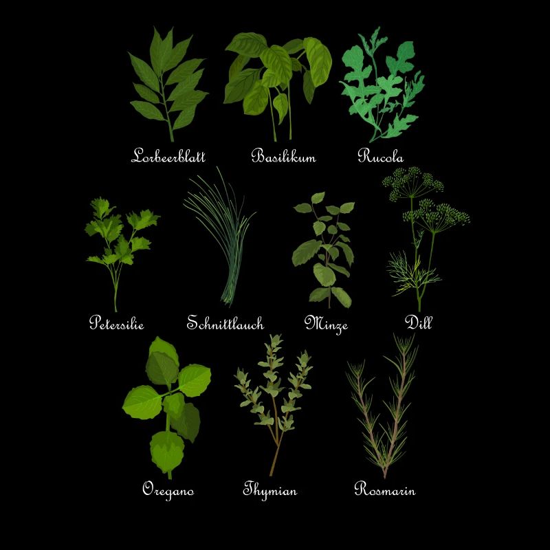 Herbes botaniques vintage