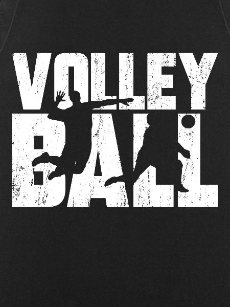 volley ball