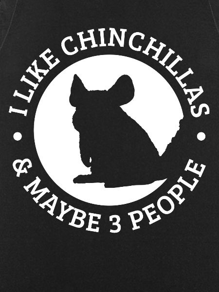 chinchilla