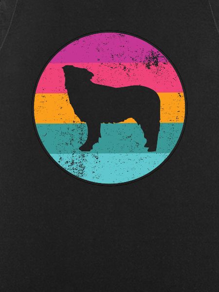 Retro border collie