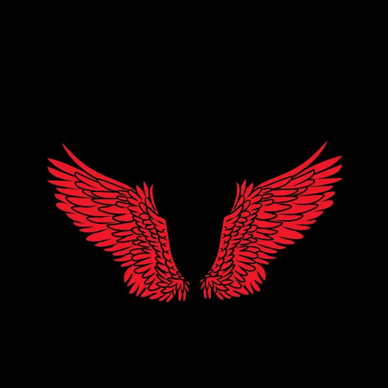 Ailes Ailes d’ange Ange céleste Satan Diable