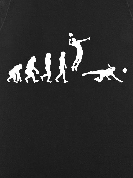 Volleyball Player Evolution