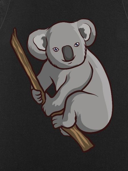 Koala bear