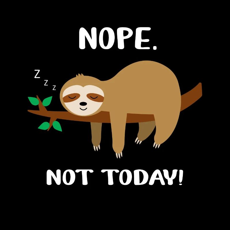 Sloth Nope Not Today énonciation drôle