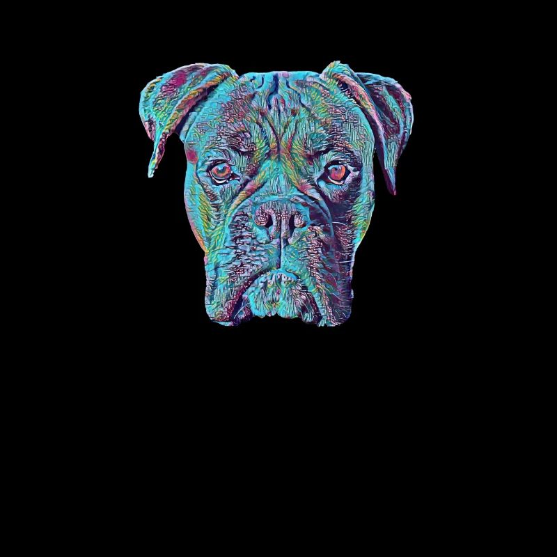 Boxer Funny