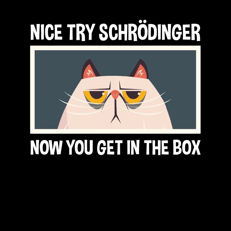 Netter Versuch Schrödinger Physik Physiker
