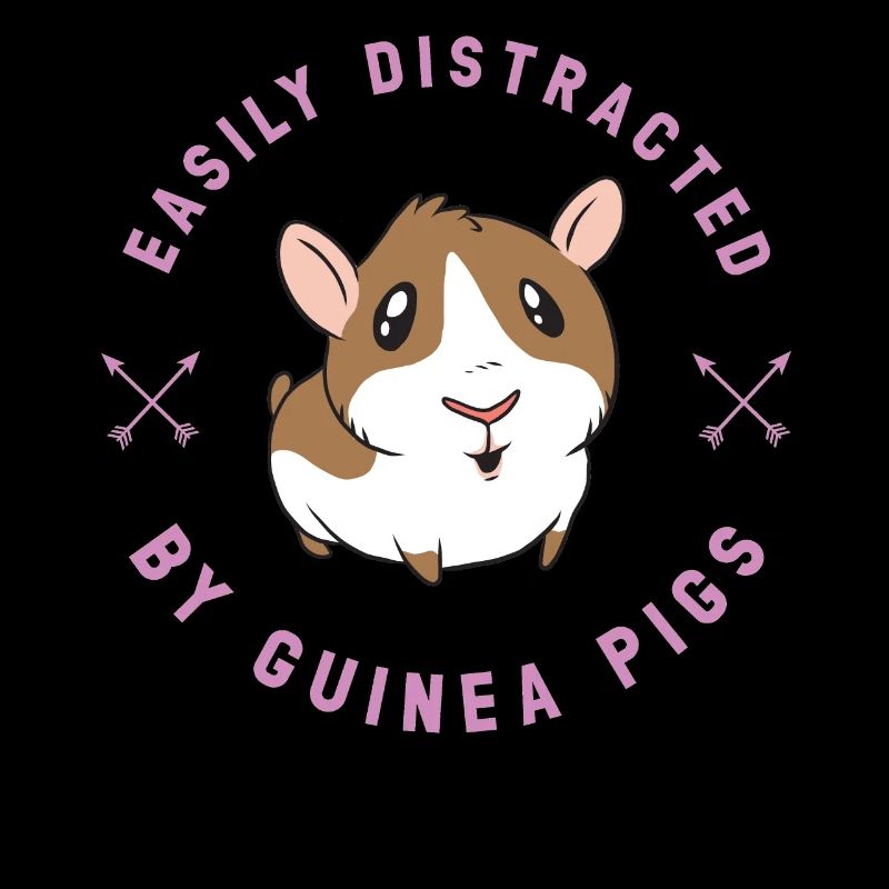 Cochons d'Inde Rosette Cochons d'Inde