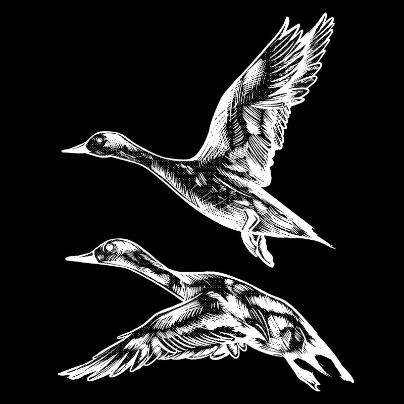 Canard de vol