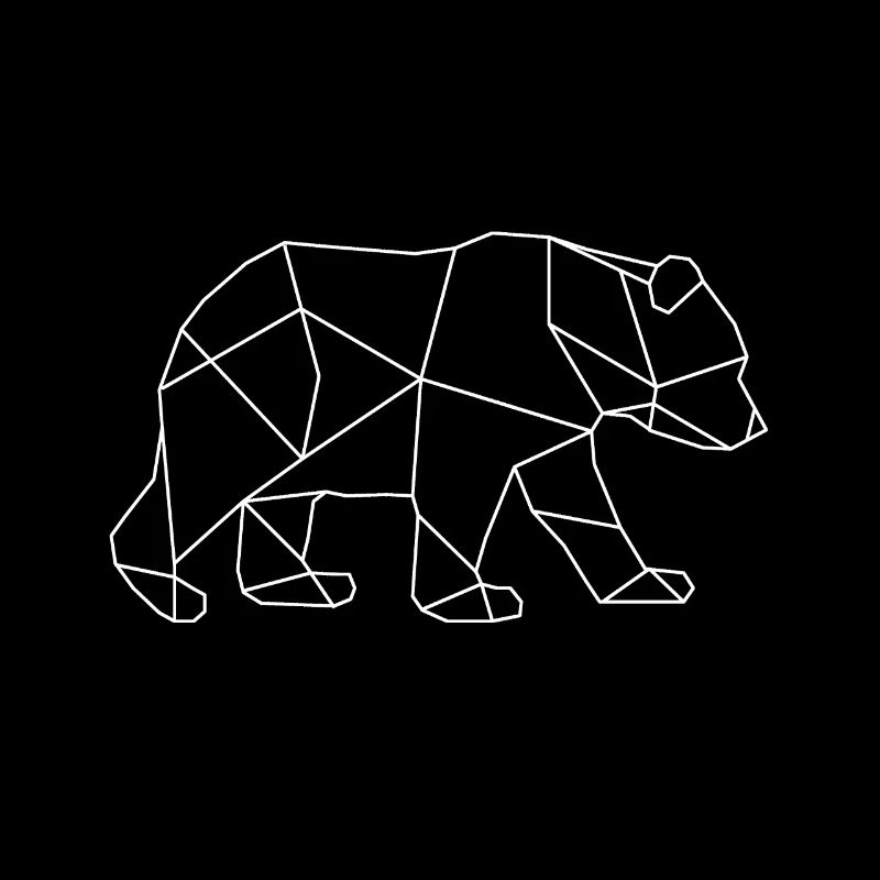 Bear polar bear